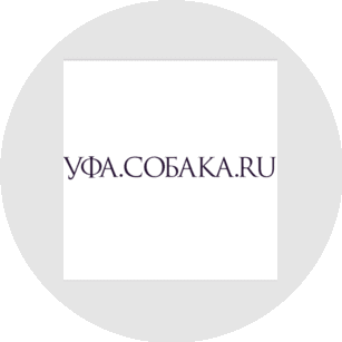 Элис Медиа Групп