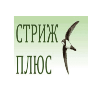 Стриж Плюс