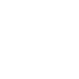 Русская Медиагруппа, радиохолдинг