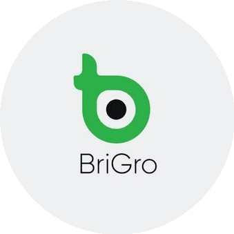 BriGro LLC