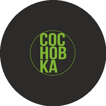 Онлайн-академия Сосновка