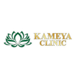 КАМЕЯ Pharm Group